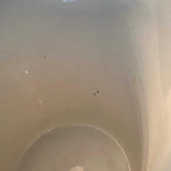 STUDBAKER COFFEE OR TEA MUG - Picture 6 of 6